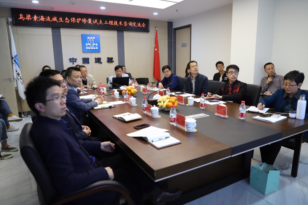 公司召開烏梁素海流域生態(tài)保護修復(fù)試點工程技術(shù)咨詢交流會